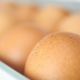 Restaurants: pourquoi se fier à un fournisseur alimentaire de légumes et produits d’œufs ?