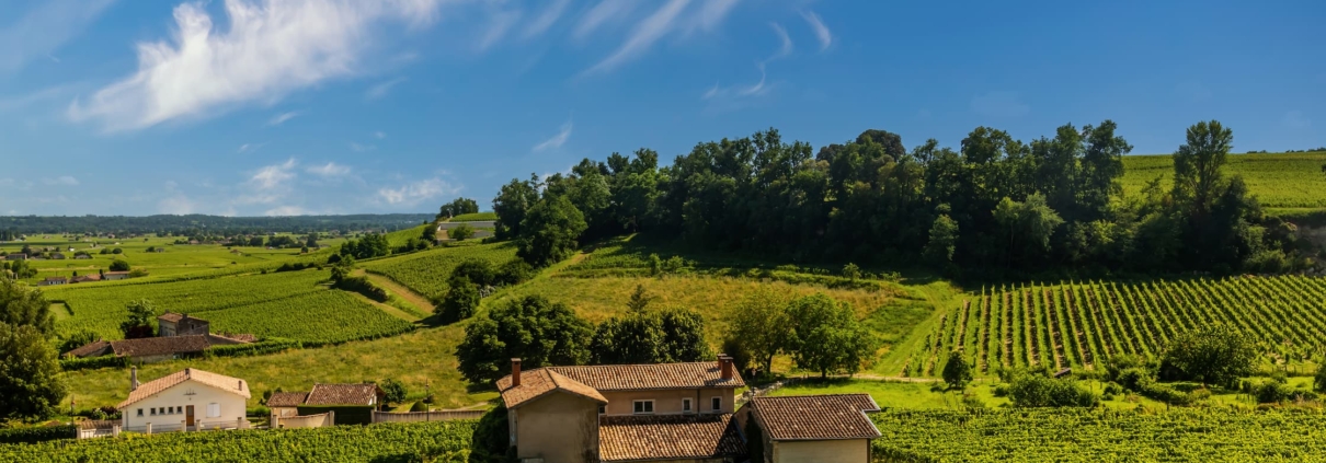 Vignoble bordelais