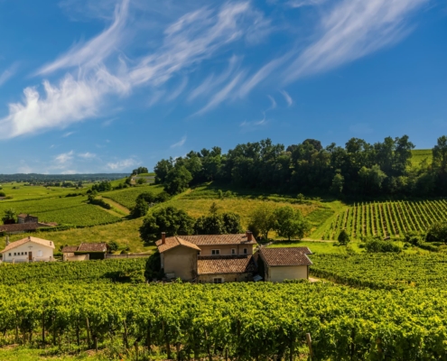 Vignoble bordelais